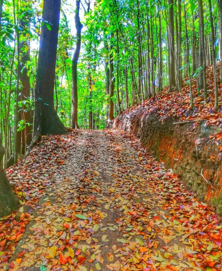 Boo Kirinda Holiday Resort Badulla Buitenkant foto